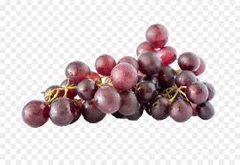 Newer post older post home. Umum Anggur Anggur Anggur Daun Anggur Gambar Png