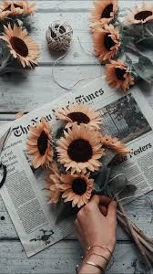 50 Beautiful Flower Wallpapers For Iphone Free Download In 2020 Aesthetic Iphone Wallpaper Sunflowers Tumblr Sunflower Wallpaper