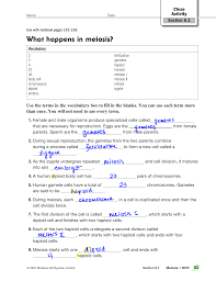 Meiosis creates gametes (egg and sperm cells). What Happens In Meiosis