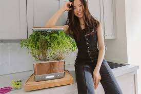 But it does do the one thing that i think makes the aerogarden popular, and that it is a garden that sits on the counter without needing additional light sources. Aerogarden Harvest Review From Setup To Herbs In 1 Month 2021