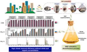 Rotten banana powder: A waste-recycling alternative for external carbon  source - ScienceDirect