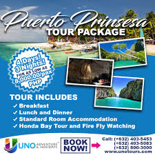 New Year New Travel Goals To Achieve Book Our Local Tour Packages Today Best Palawan Tour Packages For 2017 For Tour Packages Service Trip Affordable Tours