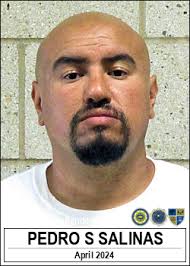 PEDRO SALINAS