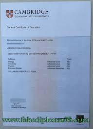 Gce General Certificate Of Education Sample Fakediploma58 Education Certificate Syllabus