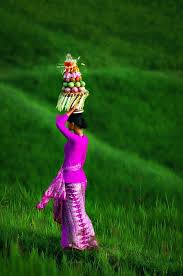 Multicoloredworld Bali Photo Bali Yoga