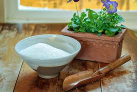 Epsom salts can be mixed once in a month with a mixture of ready soil for the garden. Gardening 101 How To Add Epsom Salts To Soil Gardenista