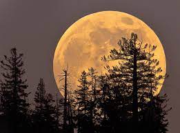 The moon will appear full for about three days around this time. Kjipqwaoiius9m