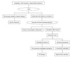 eosinophilic esophagitis from pathophysiology to treatment