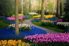 Use them in commercial designs under lifetime, . Ditutup Begini Pemandangan Taman Bunga Terindah Di Dunia Keukenhof Tanpa Pengunjung Merdeka Com