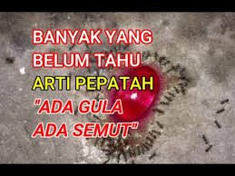 Di tempat orang mudah mendapat rezeki, banyaklah orang berkumpul. Hikmah Tersembunyi Dari Pepatah Ada Gula Ada Semut Youtube