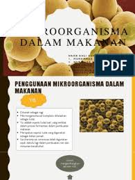 Maybe you would like to learn more about one of these? Mikroorganisma Dalam Makanan