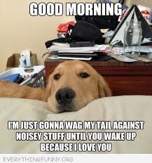 Pin By Rocco S Italian Sausages On Funny Caption Pictures I Love Dogs Dogs Dog Love