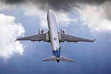 Note the new winglets or wing fins. Boeing 737 Max Wikipedia