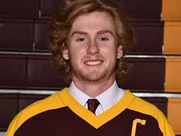 Walsh Jesuit ready to skate into state semifinal ice hockey appearance