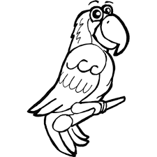How To Draw Cartoon Parrots Macaws With Step By Step Drawing Lesson How To Draw Step By Step Drawing Tutorials This artwork is available directly from me, the artist. how to draw cartoon parrots macaws