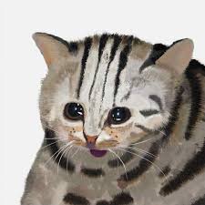 Crying cat memes came from: Artstation Crying Leopard Cat Genki Manman
