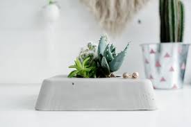 Free delivery and returns on ebay plus items for plus members. Diy Concrete Planter Box For Succulent Plants