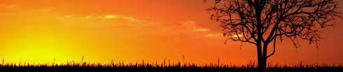 Discover apeswap, the #1 amm and yield farm for apes by apes. Blog Almont Township Lapeer County Michigan
