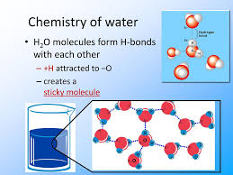 This process is summarized by a chemical equation. Water Water Everywhere Ch 3 Ppt Download