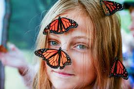 Wings Class A, B, and C