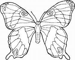 Butterflies For Children Free Butterflies Coloring Page To Print And Color For K Butterfly Coloring Page Free Printable Coloring Pages Animal Coloring Pages