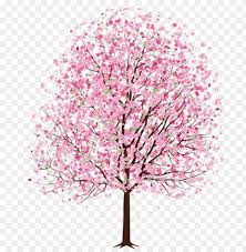 Full bloom sakura flower tree isolated oval border, pink japan flora bush round frame, spring floral circle branch on white background. Cherry Blossom Tree Cherry Blossom Drawing Cherry Tree With Pink Flowers Drawi Png Image With Transparent Background Toppng