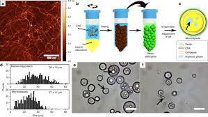 Maybe you would like to learn more about one of these? Primary Cell Wall Inspired Micro Containers As A Step Towards A Synthetic Plant Cell Nature Communications