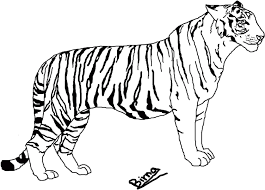 The resolution of png image is 646x351 and classified to daniel bryan ,tiger ,tiger stripes. Daniel Tiger Transparent Tiger Line Art Png Transparent Cartoon Jing Fm