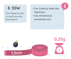 Normalerweise kann ein frauenarzt bei einer ultraschalluntersuchung zumindest die (am ultraschall deutlich sichtbare) schwarze fruchthöhle ab der 5. 8 Ssw Schwangerschaftswoche