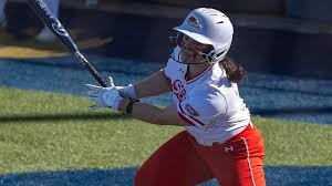 Image result for Sorindeia winkleri