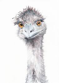 Zoo Nursery Print Emu Art Print Kids Room Animal Art Kids Room Zoo Art Australian Bird Print Watercolour Painting Quirky Emus Art Fine Art Giclee Prints Animal Art