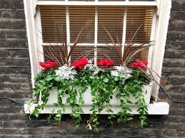 However, linderski could only find one other allusion to this practice in martial 11.18. Troughs Window Boxes Seasonal Plants For Balconies And Window Sills