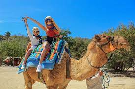 Many say san josé del cabo is cabo san lucas' more elegant twin sister. Camel Quest With Snacks Waterslides 2021 Los Cabos