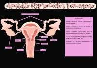We did not find results for: Dibujo De Aparato Reproductor Masculino Y Femenino Docsity