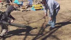Updated daily, for more funny memes check our homepage. Thats Gross Leaf Blower Funny Gif Find On Gifer