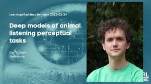Dan Stowell: Deep models of animal listening perceptual tasks