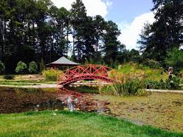 The garden is home to hundreds of varieties of flora from brazil and around the world. Jardim Botanico De Brasilia Brasilia Aktuelle 2021 Lohnt Es Sich Mit Fotos