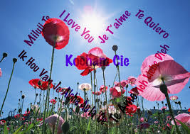 Learn to say three romantic phrases in polish, such as i love you, you love me, and we love each other. The Heart Of Love And Languages Merseyside Polonia Liverpool