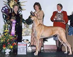 Growth Rate Great Danes Growth Chart Greatdanelady Com