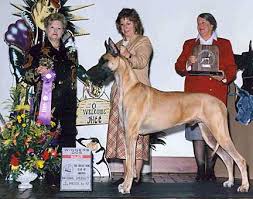 growth rate great danes growth chart greatdanelady com