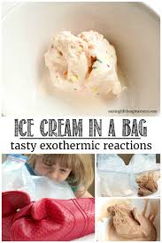 Squeeze as much air as you can out of the baggie, and then seal it shut. Ice Cream In A Bag Exothermic Reactions Science For Kids