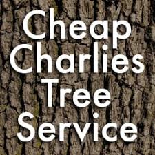 Mama pizza on tree town serves delicious 99 baht pizza's. Cheap Charlie S Tree Service 13 Elm Pl Amityville Ny Tree Services Mapquest
