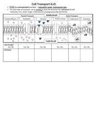 Cell Transport Worksheet Biology Answers Go Cell Transport Pdf Biology Lessons Teaching Biology Cell Theory