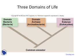 Three Domains Of Life Marine Biology Lecture Slides Docsity