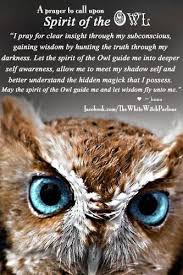Minus The Pray Part I Ask Is More Me Owl Spirit Animal Animal Spirit Guides Spirit Animal Totem