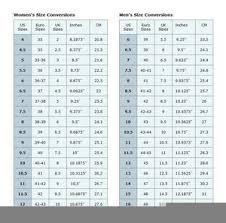 Tiger Size Chart Free Images At Clker Com Vector Clip