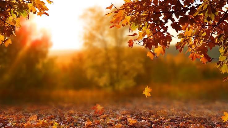 When is fall? | king5.com
