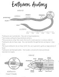 If worms dry out, they suffocate. Earthworms Aren T Senseless Tiaras Tantrums