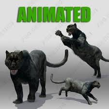 Black Panther Black Panther Panther Black Cat