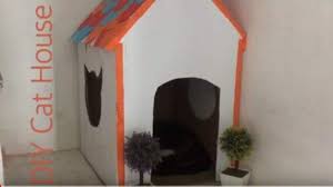 Anda dapat memindahkannya ke tempat yang dekat, tetapi tunjukkan tempat barunya kepada kucing anda untuk memastikan dia tidak kembali ke tempat buang air yang lama. Tips Membuat Rumah Kucing Sederhana Hanya Bermodal Kardus Tribun Jogja